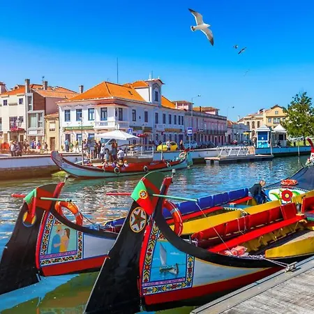 Ria Ap Ii Aveiro